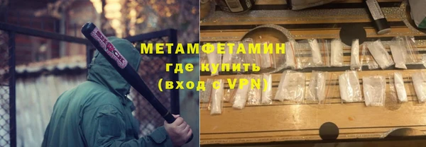 прущие грибы Белокуриха