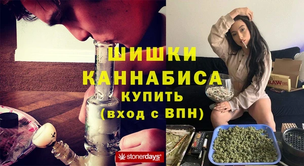 прущие грибы Белокуриха