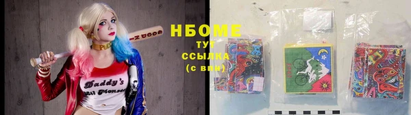 прущие грибы Белокуриха