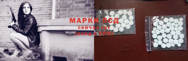 прущие грибы Белокуриха