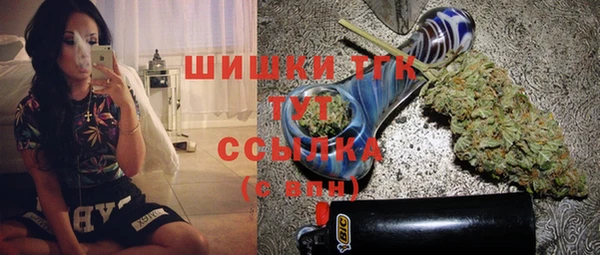 прущие грибы Белокуриха