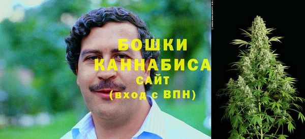 прущие грибы Белокуриха