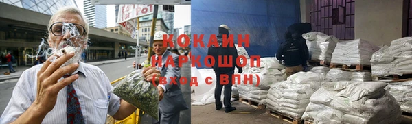 прущие грибы Белокуриха